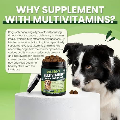 24-in-1 Dog Vitamins and Supplements 200 Ct Daily Multivitamin for Dogs | Hip & Joint, Skin, Digestion, Immune, Heart, Brain, Eye Health Support with Glucosamine, Probiotics, Omega 3 - Chicken