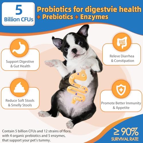 ZEBORA Dog Vitamins Powder - Multivitamin for Dogs & Cats - 90 Scoops | with Glucosamine, Probiotics & Omega 3, Dog Vitamins and Supplements for Immune Support, Skin and Coat