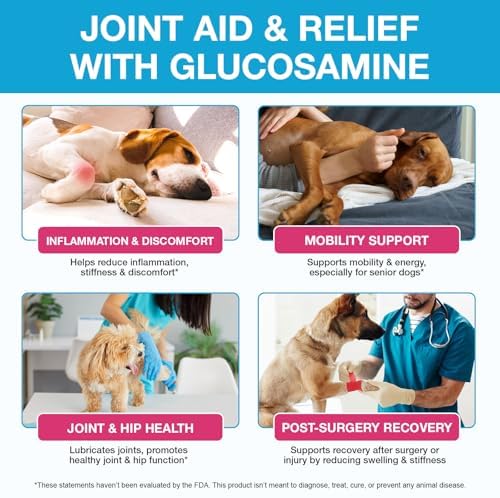 Dog Hip and Joint Supplement, Glucosamine for Dogs, Chondroitin Drops for Dogs, Pain Relief for Dogs, Dog Supplement for Joint Health, Mobility Pain Relief, Bacon Flavor-2 Oz/60ml
