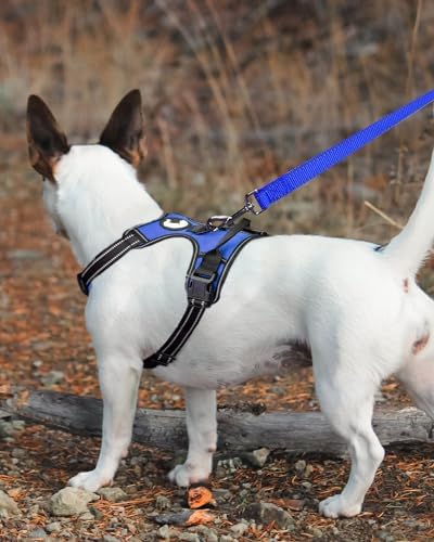 Joytale Dog Harness (Chest: 12-21"), Dog Collar and 6FT x 3/4" Wide Dog Leash Set, Reflective Padded Nylon Collar and Leash, Adjustable Soft Harness with Handle for Dogs
