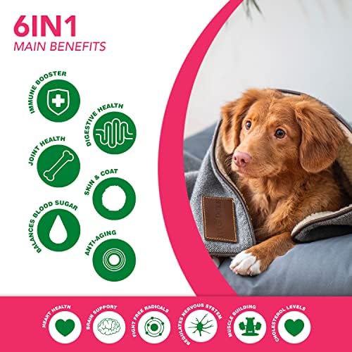 6 in 1 Superfood Dog Supplement with Organic Moringa | Treats for Immune System and Overall Health | Pets All Natural Multivitamins - 90 Chews