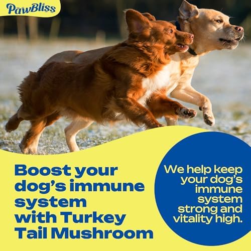 Turkey Tail Mushroom for Dogs Lumps and Bumps - Mushroom Immune Support for Dogs- Mushroom Blend with Shiitake, Lion's Mane, Maitake, Reishi, Cordyceps, Chaga-120 Soft Chews
