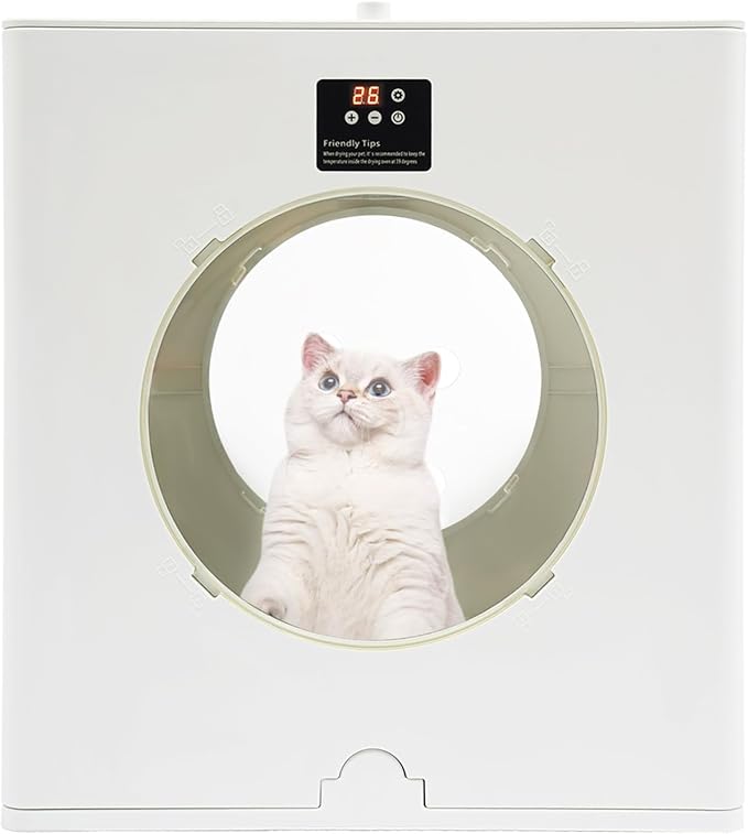 Automatic Cat Dog Dryer Box, 800w Adjustable Pets Blow | Hair Drying Machine with Viewable Window Fresh Air Ventilation, 88l/79.9qt Capacity Cat Dryer Box for Households, Pets Shops