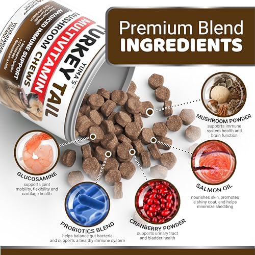 (2 Pack) Turkey Tail Mushroom for Dogs - 340 Ct - Mushroom Chews for Dogs | Lipoma Lumps and Bumps - Immune Health, Digestive, Skin, Joint Vitamin Support Guard Buddy - Multivitamin Supplement