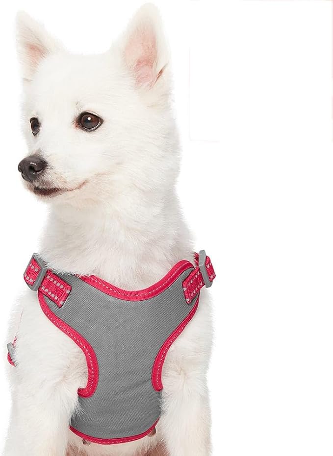 Blueberry Pet Matching Reflective Harness and Leash Set | Adjustable Pastel Vest with Lead for Dogs – Great Value Gift Set | Adjustable Very Berry Vest for Medium Breeds