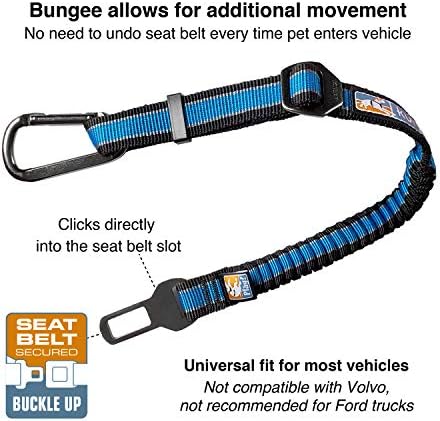 Kurgo Direct to Seatbelt Bungee Tether, Blue