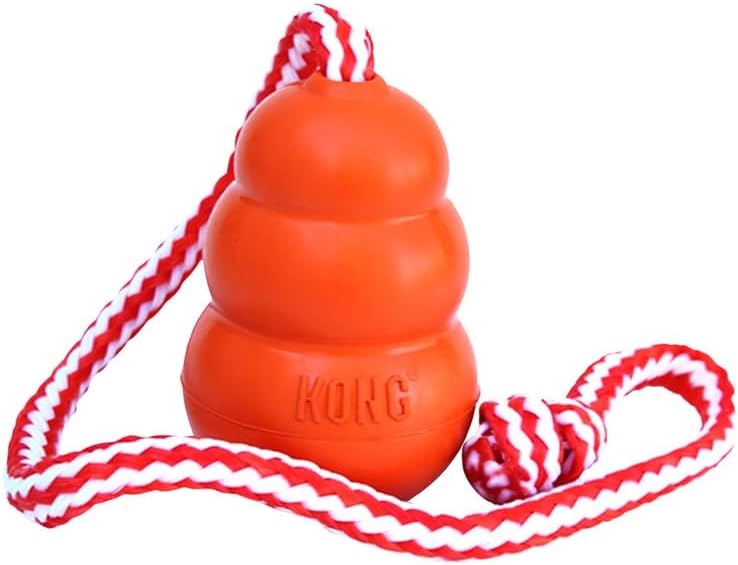 KONG Aqua Classic Dog Toy 2-Pack – Floating Retrieval Toy for Water Play - with Rope (Large)