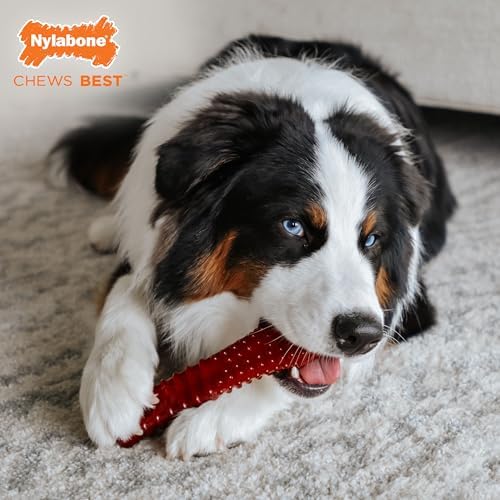Nylabone Power Chew Basted Blast Dog Chew Toy, Bacon & Steak Flavor | X-large, durable dog toys for aggressive chewers, long lasting, discourages destructive chewing, for dogs 50+ lbs