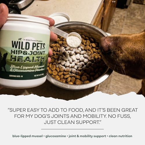 Wild Pets Blue Lipped Mussel & Glucosamine – Dual-Action Dog Hip & Joint Supplement – 500mg Mussel + 500mg Glucosamine per Scoop – 6oz/120 Servings – Higher Protein Than Green lipped Mussels for Dogs