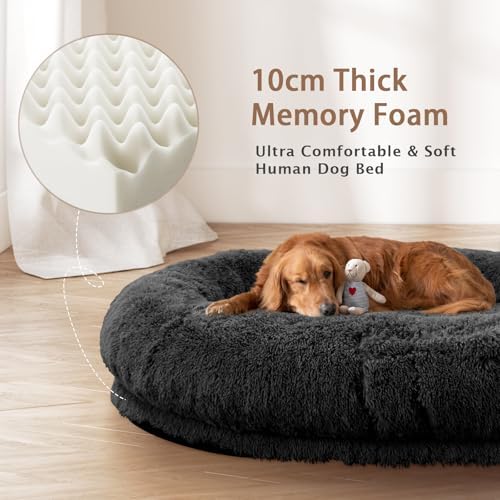 ROOMTEC Human Dog Bed, 71''x45''x12'' Size Fits Adult Pet Washable Oversize People Bed 10 CM Thick Memory Foam Large Giant Pet Bed with Plump Pillow, Blanket, Strap - Black