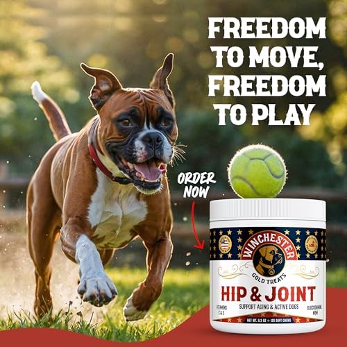 Hip & Joint Dog Supplement: All-Natural 120 Count Soft Chew Treat with Glucosamine, Chondroitin, MSM, Turmeric, Collagen, Vitamins C & E; Perfect for Large & Small Dogs; Made in USA by Winchester Gold