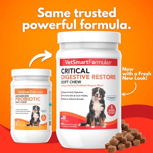 Critical Digestive Restore Soft Chews for Dogs - Veterinarian-Strength Probiotic Support for Optimal Health – with 10 Billion CFUs Per Dose