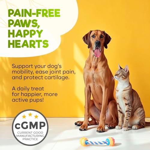 ZENO Glucosamine HCL & Hip and Joint Chews for Dogs - 150 pcs - Advanced Hip and Joint Support for Dogs - with MSM & Green Lipped Mussel - Duck