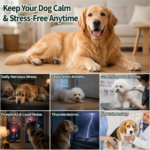 Dog Calming Chewable Tablets 200 Tablets Melatonin, Chicken