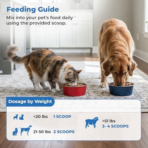 | S boulardii + FOS for Dogs and Cats | Probiotic and Prebiotic Powder | Support Gut Health, Diarrhea | 6 Billion CFU | 60g