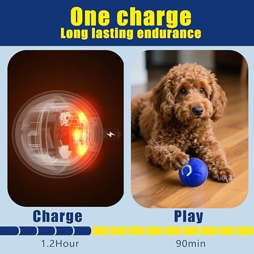 Interactive Self-Moving Pet Toy Ball - Motion-Activated Auto Rolling, Military-Grade Chew Resistant, USB-C Rechargeable for Small Dogs & Cats (Blue, Small