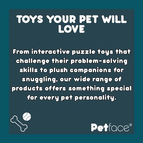 Petface Retro Floppy Disk Plush Dog Toy | Durable & Lightweight, Fun Design, Great for Fetch & Cuddle, Indoor & Outdoor Play