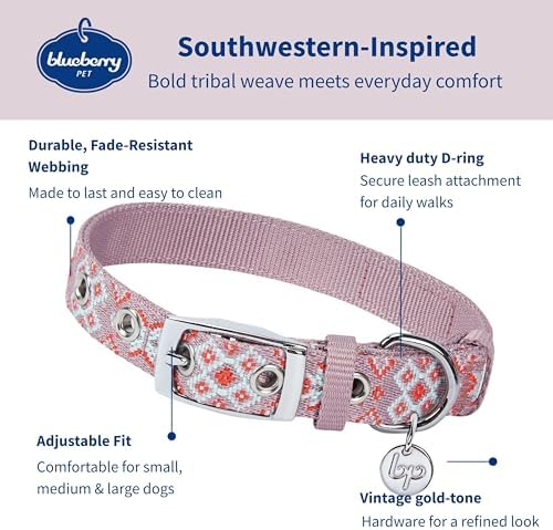 Blueberry Pet Southwestern Modern Tribal Print Thistle Braided Adjustable Dog Collar with Metal Buckle, Neck 17-20.5", for Large Breed