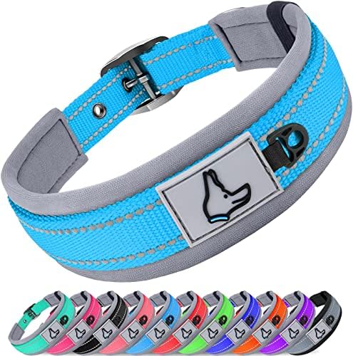 Joytale Reflective Dog Collar for Small Dogs with Wide Padding, Sky Blue