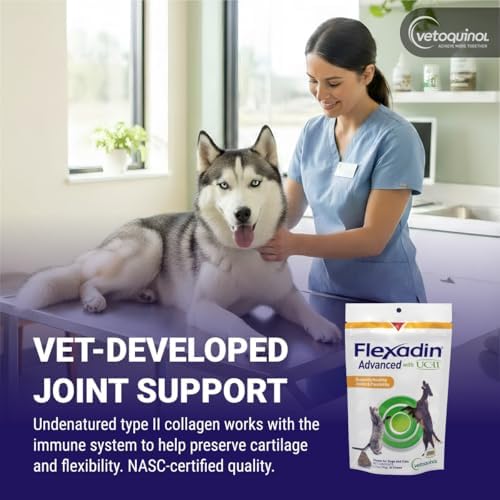 Vetoquinol Flexadin Advanced Hip and Joint Supplement with Undenatured Collagen for Dogs, One Chew a Day Hip and Joint Support Chew for Dogs and Cats, Clinically Proven Vet-Approved Formula, 30 Chews