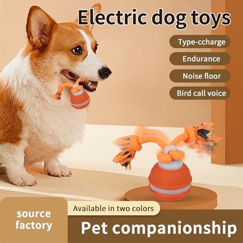 Interactive Dog Toys Dog Ball,Automatic Rolling and Bouncing Moving Dog Toy | 2PCS Squeaky Rolling Balls with Flashing Light,USB Rechargeable Chew Toys for Puppy Small Dogs Cat,Pet Ball to Keep Them Busy