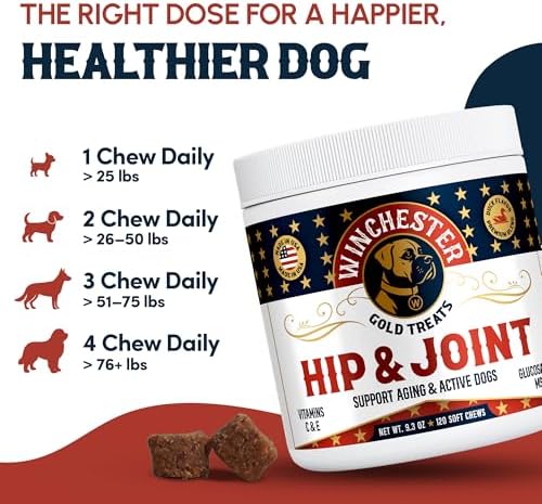 Hip & Joint Dog Supplement: All-Natural 120 Count Soft Chew Treat with Glucosamine, Chondroitin, MSM, Turmeric, Collagen, Vitamins C & E; Perfect for Large & Small Dogs; Made in USA by Winchester Gold