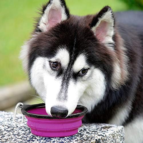 Kytely Large Collapsible Dog Bowls, 2 Pack, 34oz, Green+Purple