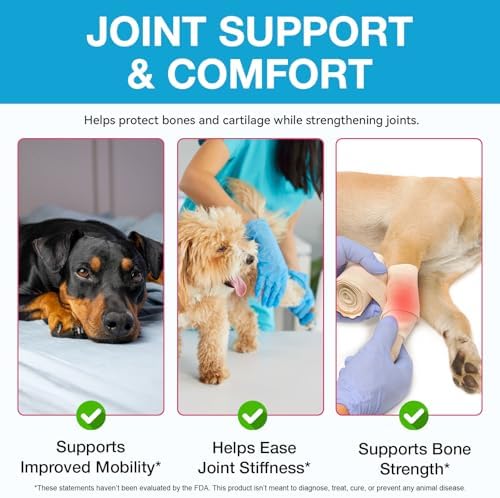Dog Hip and Joint Supplement, Glucosamine for Dogs, Chondroitin Drops for Dogs, Pain Relief for Dogs, Dog Supplement for Joint Health, Mobility Pain Relief, Bacon Flavor-2 Oz/60ml
