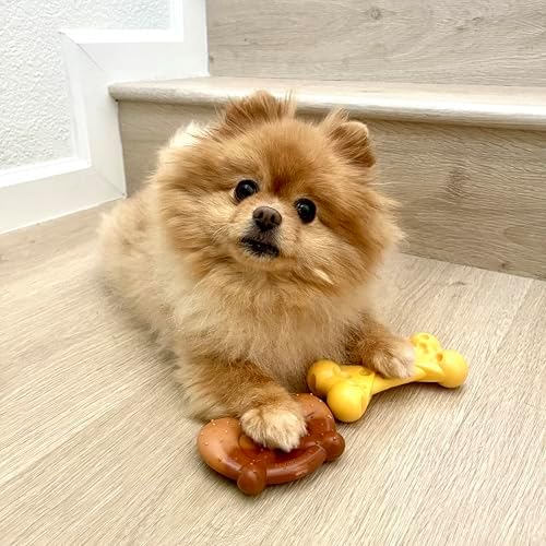 Nylabone Power Chew Toy Bundle, Dog Toys for Aggressive Chewers, 3 Pack | Dog chews toys for small dogs up to 25 lbs, filet mignon, cheese, and bacon flavors, grooves to clean teeth