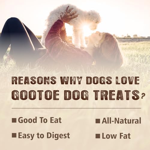 Gootoe Natural Buffalo Dog Treats, Bone Shaped, 1.5 lb