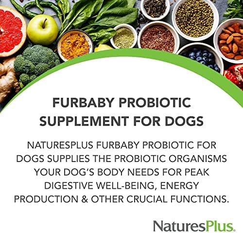 NaturesPlus FurBaby Probiotic for Dogs - 9.5 oz - Supports Digestive, Heart, Liver & Immune Health - 60 Servings