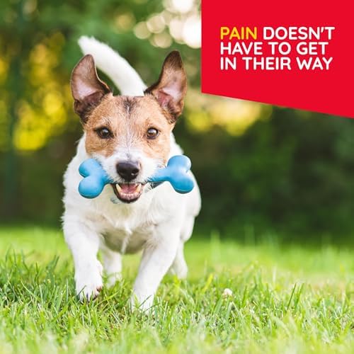 MediNatura T-Relief Pet Discomfort Relief, Arnica +12, 90 Tablets, 2 Pack