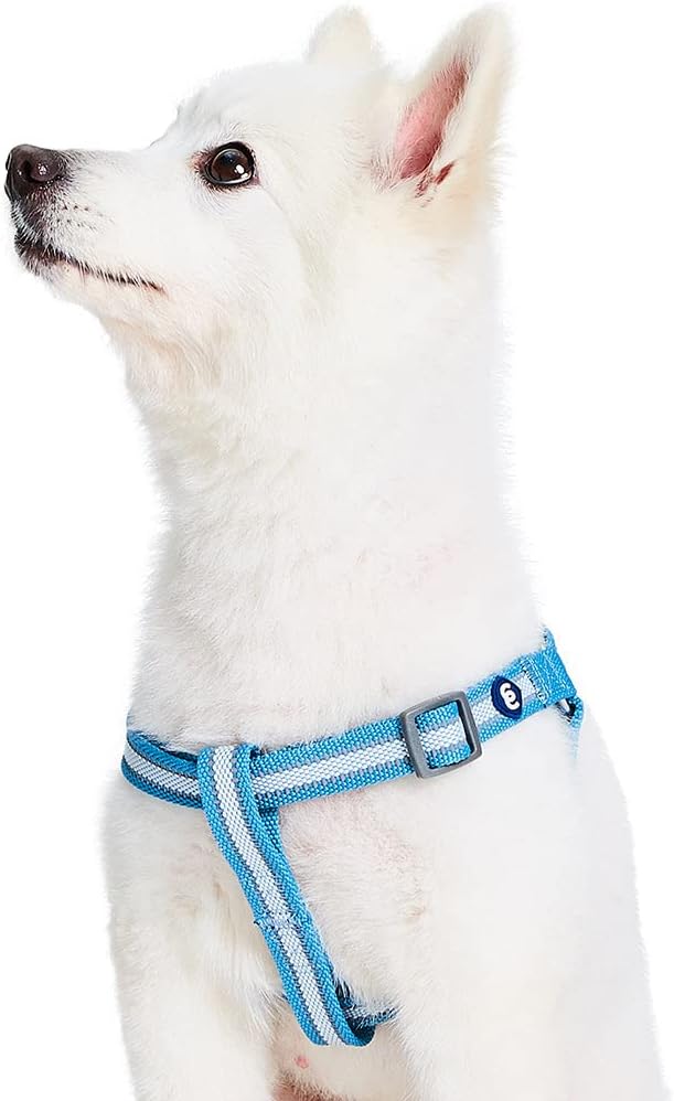 Blueberry Pet Essentials Step-in Reflective Back to Basics Dog Harness, Sky Blue, Chest Girth 20" - 26", Medium, Adjustable Harnesses for Dogs
