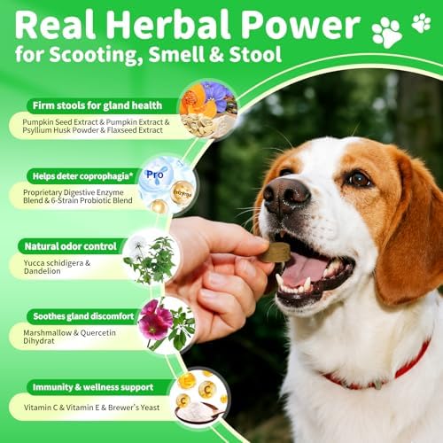 Dog Probiotics & Digestive – Pumpkin Fiber Chews for Gut Health - Chicken Flavor
