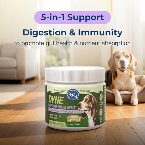 PetAg Dyne Digestion & Immune Support Soft Chews for Dogs | 60 Count