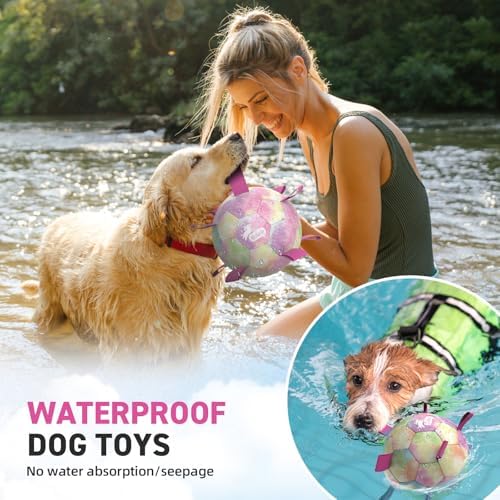 QDAN Dog Balls, Dog Soccer Ball with Straps,Puppy Girl Dog Toys, 6 Inch | Pink Puppy Toy Balls for Small Medium Dogs, Outdoor Dog Water Pool Toys, Dog Soccer Ball Toy, Pet Birthday Gifts, Rainbow