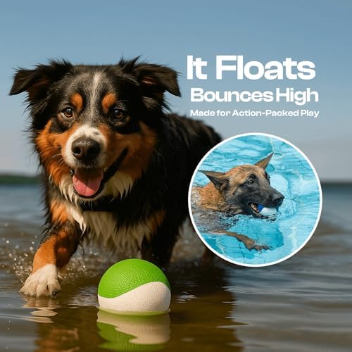 Squeaky Dog Toy, Durable Rubber Ball, Medium & Large Dogs, Green White