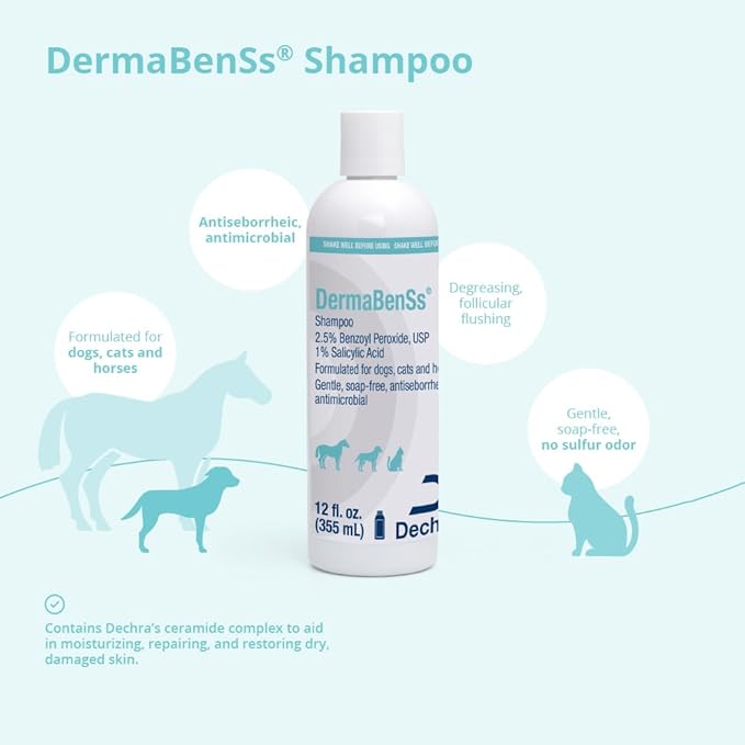 DermaBenSs® Shampoo for Dogs, Cats and Horses, 12 Fl Oz | Gentle, Soap-Free, Antiseboerrhetic, Antimicrobial; 2.5% Benzoyl Peroxide, USP; 1% Salicylic Acid; Packaging May Vary