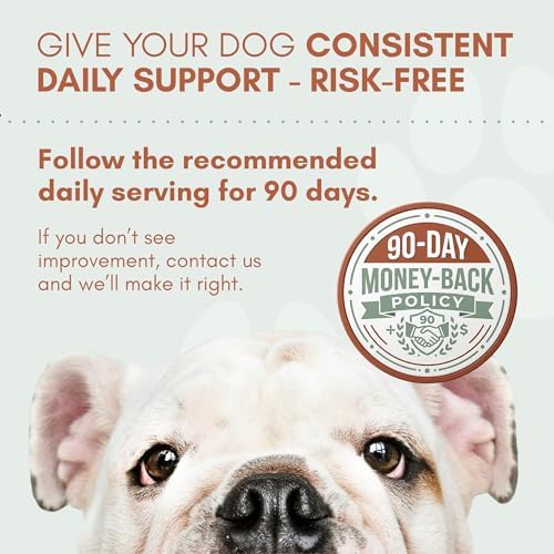 Dog Probiotics with Prebiotics, Digestive Enzymes, Pumpkin Fiber & Colostrum, Daily Gut Health Support for Diarrhea, Gas & Bloating, Six-Strain Probiotic Blend, 60 Beef Flavor Chews