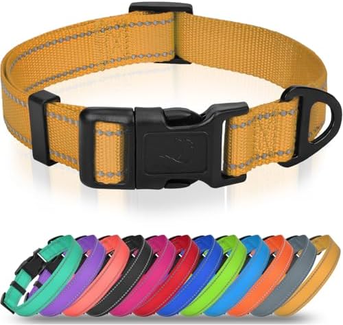 Joytale Feather-Light Dog Collar for Medium & Large Dogs, 1", Khaki