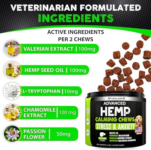 Hemp Calming Chews for Dogs Anxiety & Stress Relief
