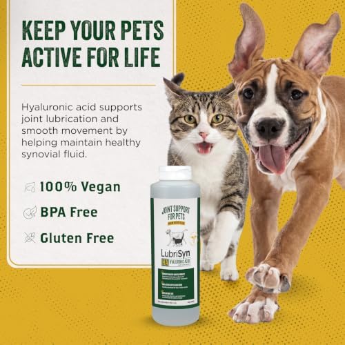 LubriSyn HA Hip & Joint Supplement Plus MSM for Dogs & Cats, 16 oz