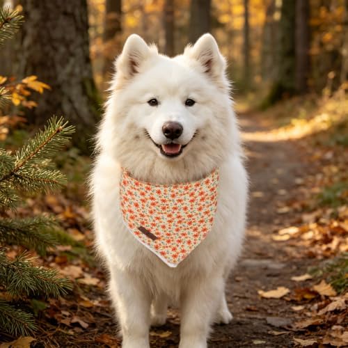 Lionet Paws Fall Flower Dog Bandana Washable Cotton Handkerchief Scarf Triangle Halloween Dog Bandanas, Large (Pack of 1), Medium, Cotton, Orane Flower