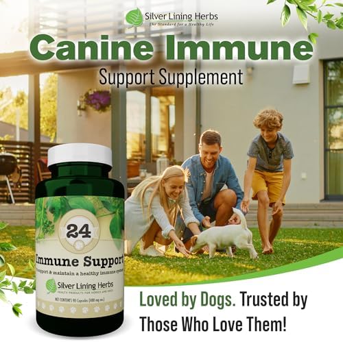 Silver Lining Herbs Dog Immune Support Supplement - 90 Capsules