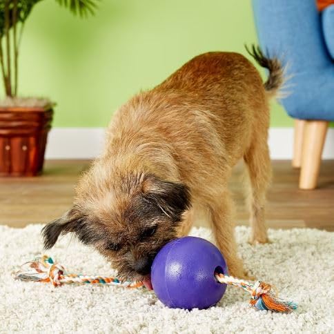 Jolly Pets Romp-N-Roll Rope & Ball Dog Toy, 4.5 in Small, Purple | Rope-and-ball fetch toy in tough JollyFlex - won't deflate if punctured, floats, made in USA