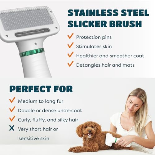 2-in-1 Dog Hair Dryer with Brush for Small Dogs and Cats, Pet Blow Dryer | Pet Grooming Dryer, Dry & Brush in One, 300 Watts, 75-85 dB, Adjustable Temperature, Overheat Protection, Portable