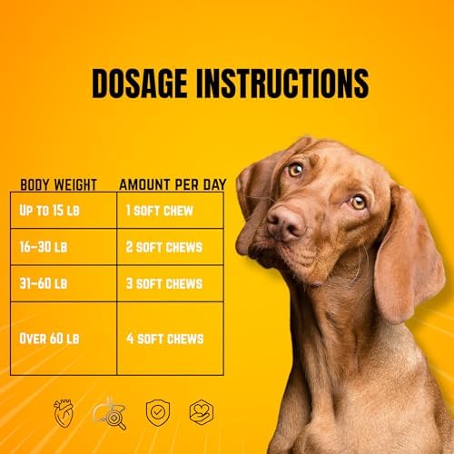 Hip & Joint Advanced Mobility Soft Chews for Dogs – Duck Flavor, 90 Soft Chews – Supports Everyday Mobility, Joint Comfort & Active Lifestyle for All Dog Sizes