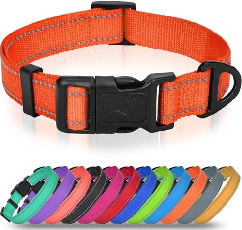 Joytale Feather-Light Dog Collar for Medium & Large Dogs, 1", Orange