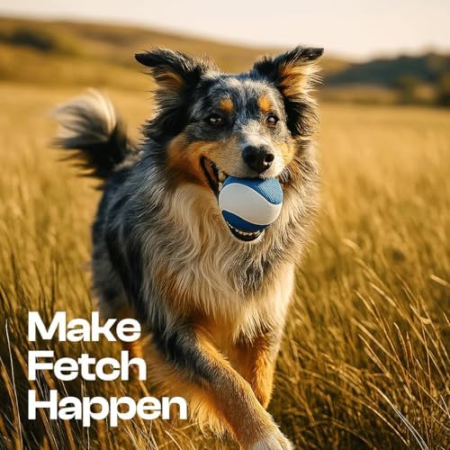 Squeaky Dog Toy, Durable Rubber Ball, Medium & Large Dogs, Ocean