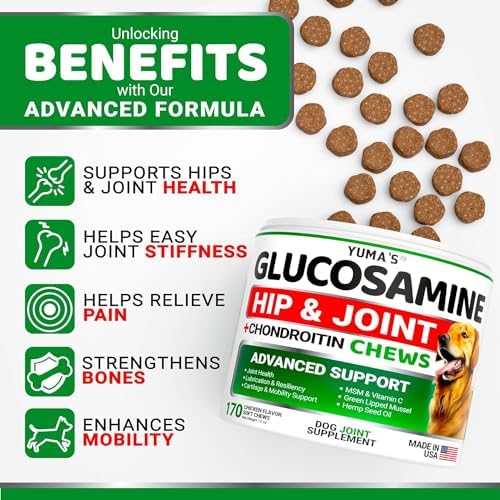 (2 Pack) Glucosamine for Dogs - 340 Ct - Hip and Joint Supplement for Dogs